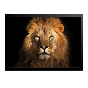 Quadro Leões 20X30
