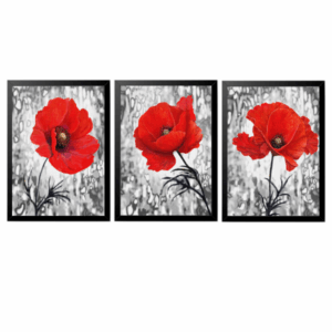 KIT 03 Quadros Flores Vermelhas 20X30