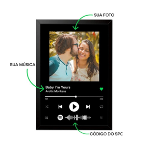 Quadro Spotify 20x30