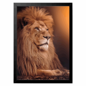 Quadro Leões 20X30